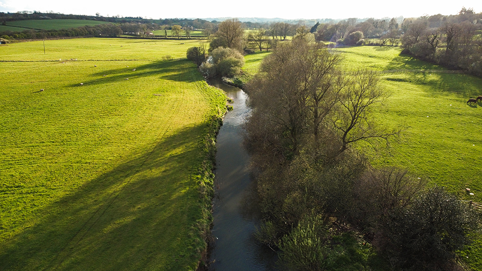 honiton low 8